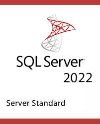 Microsoft SQL Server 2022 Standard License Key / DVD Box Pack License Key
